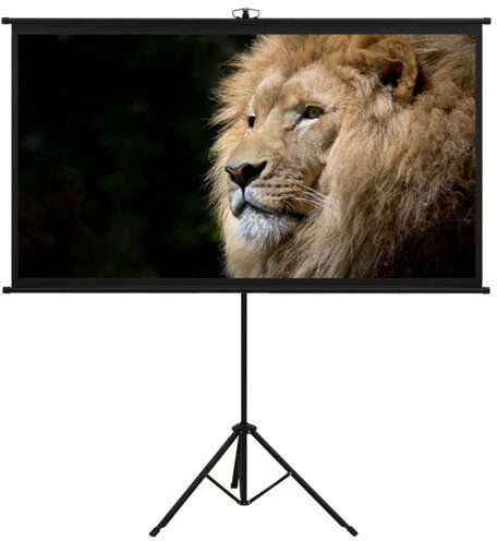 Symple Stuff Arpiar White Portable Projection Screen Symple Stuff Viewing Area: HDTV (16:9), Size: 226cm H x 205cm W  - Size: Symple Stuff Arpiar White Portable Projection Screen Symple Stuff Viewing Area: HDTV (16:9), Size: 226cm H x 205cm W  - Size: