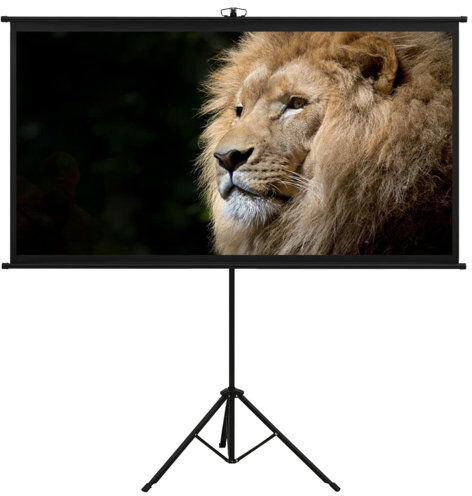 Symple Stuff Arpiar White Portable Projection Screen Symple Stuff Viewing Area: HDTV (16:9), Size: 262cm H x 271cm W  - Size: 59cm H X 39cm W Symple Stuff Arpiar White Portable Projection Screen Symple Stuff Viewing Area: HDTV (16:9), Size: 262cm H x 271cm W  - Size: 59cm H X 39cm W