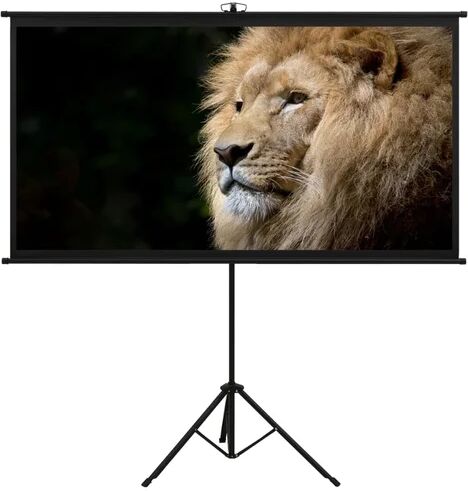 Symple Stuff Arpiar White Portable Projection Screen Symple Stuff Viewing Area: HDTV (16:9), Size: 226cm H x 245cm W  - Size: 226cm H x 226cm W