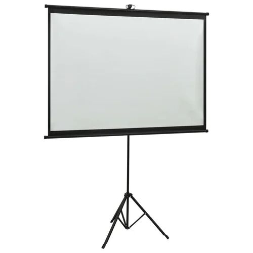 Symple Stuff Arpiar White Portable Projection Screen Symple Stuff Viewing Area: Square/AV (1:1), Size: 262cm H x 165cm W  - Size: 250cm H x 100cm W