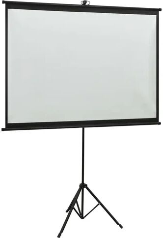 Symple Stuff Arpiar White Portable Projection Screen Symple Stuff Viewing Area: Square/AV (1:1), Size: 262cm H x 165cm W  - Size: 262cm H x 208cm W