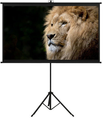 Symple Stuff Arpiar White Portable Projection Screen Symple Stuff Viewing Area: HDTV (16:9), Size: 226cm H x 137cm W  - Size: 226cm H x 151cm W Symple Stuff Arpiar White Portable Projection Screen Symple Stuff Viewing Area: HDTV (16:9), Size: 226cm H x 137cm W  - Size: 226cm H x 151cm W