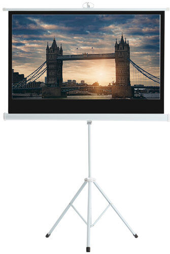 Symple Stuff Borkowski White Portable Projection Screen Symple Stuff Size: 220cm H x 110cm W x 19cm D  - Size: 1850mm H x 1200mm W x 900mm D Symple Stuff Borkowski White Portable Projection Screen Symple Stuff Size: 220cm H x 110cm W x 19cm D  - Size: 1850mm H x 1200mm W x 900mm D