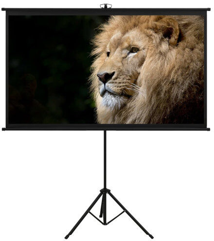 Symple Stuff Arpiar White Portable Projection Screen Symple Stuff Viewing Area: HDTV (16:9), Size: 226cm H x 164cm W  - Size: 128cm H x 170cm W x 0.2cm D Symple Stuff Arpiar White Portable Projection Screen Symple Stuff Viewing Area: HDTV (16:9), Size: 226cm H x 164cm W  - Size: 128cm H x 170cm W x 0.2cm D
