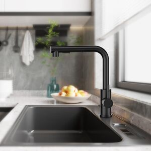 Blue Elephant Pull Down Spray Single Lever Kitchen Tap Black 25cm Blue Elephant Pull Down Spray Single Lever Kitchen Tap Black 25cm