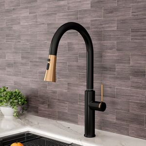 Belfry Kitchen Black Kitchen Sink Faucet with Pull Down Sprayer Rose Gold;Black + Rose Gold;Black Belfry Kitchen Black Kitchen Sink Faucet with Pull Down Sprayer Rose Gold;Black + Rose Gold;Black