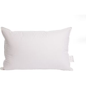 Surrey Down Home Range Duck Feather Soft Pillow Pair White Surrey Down Home Range Duck Feather Soft Pillow Pair White
