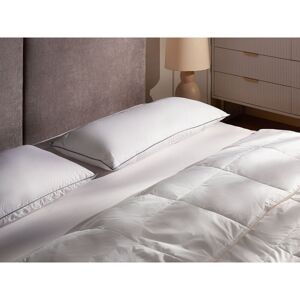 Brayden Studio 3-Chamber Bed Pillow TEIDE Low Duck Feathers and Down 40 x 80 cm White White 40 x 80 cm/7cm Brayden Studio 3-Chamber Bed Pillow TEIDE Low Duck Feathers and Down 40 x 80 cm White White 40 x 80 cm/7cm
