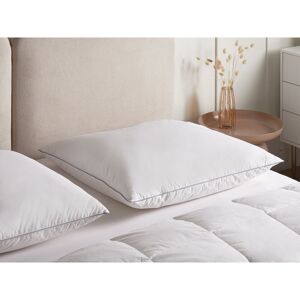 Brayden Studio 3-Chamber Bed Pillow TEIDE Low Duck Feathers and Down 40 x 80 cm White White 6cm/80 x 80 cm Brayden Studio 3-Chamber Bed Pillow TEIDE Low Duck Feathers and Down 40 x 80 cm White White 6cm/80 x 80 cm