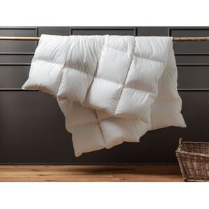 Die Zudecke 100% Canadian Goose Down All Seasons Duvet (3 + 9tog) White Double Die Zudecke 100% Canadian Goose Down All Seasons Duvet (3 + 9tog) White Double