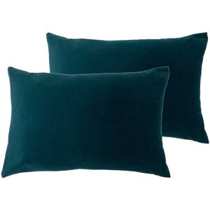 Wayfair Basics™ Bouley Cushion with Filling Teal/Feather 40cm H X 60cm W X 4cm D Wayfair Basics™ Bouley Cushion with Filling Teal/Feather 40cm H X 60cm W X 4cm D