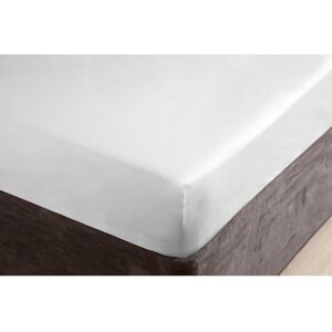 Belledorm 100% Cotton Sateen Fitted Sheet Platinum Double (137 x 191 cm) Belledorm 100% Cotton Sateen Fitted Sheet Platinum Double (137 x 191 cm)