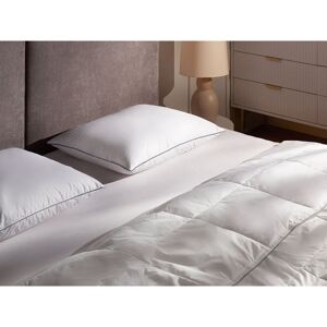 Brayden Studio 3-Chamber Bed Pillow TEIDE Low Duck Feathers and Down 40 x 80 cm White White 9cm/50 x 60 cm Brayden Studio 3-Chamber Bed Pillow TEIDE Low Duck Feathers and Down 40 x 80 cm White White 9cm/50 x 60 cm