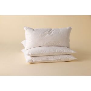 Surrey Down Goose Feather & Down Medium Firmness Pillow - Pillow Surrey Down Goose Feather & Down Medium Firmness Pillow - Pillow