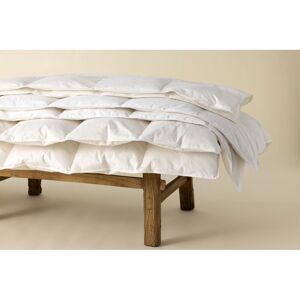 Die Zudecke Hungarian Goose Feather & Down 10.5 Tog SuperKing Duvet - Luxury Bedding Die Zudecke Hungarian Goose Feather & Down 10.5 Tog SuperKing Duvet - Luxury Bedding
