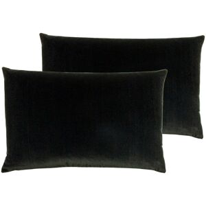 Wayfair Basics™ Bouley Cushion with Filling Black/Feather 40cm H X 60cm W X 4cm D Wayfair Basics™ Bouley Cushion with Filling Black/Feather 40cm H X 60cm W X 4cm D