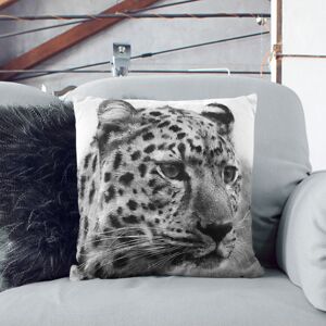 East Urban Home Cheetah Vol.3 Painting Scatter Pillow 55cm H x 55cm W x 20cm D East Urban Home Cheetah Vol.3 Painting Scatter Pillow 55cm H x 55cm W x 20cm D