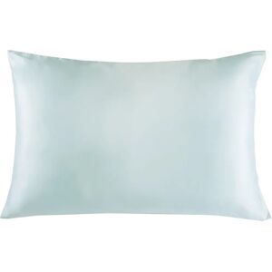 Canora Grey 1 Paolo Silk Pillowcase blue