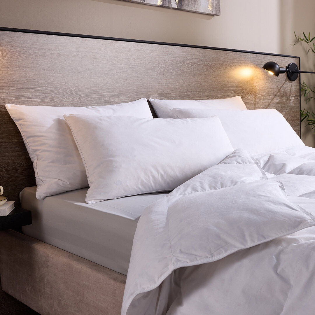 Luxurious Hotel Snuggledown Signature Goose Feather & Down Medium Support Back Sleeper Cotton Cover Pillow White
