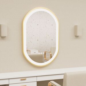 Fairmont Park Wall Mirror Mirror Gold 100cm x 50cm Fairmont Park Wall Mirror Mirror Gold 100cm x 50cm