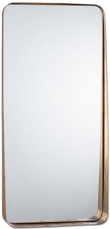 Borough Wharf Hollier Leaf Parisienne Metal Portrait Accent Mirror Borough Wharf Size: 76cm H x 35.5cm W x 9cm D, Finish: Gold  - Size: 30cm H X 76cm W X 9cm D Borough Wharf Hollier Leaf Parisienne Metal Portrait Accent Mirror Borough Wharf Size: 76cm H x 35.5cm W x 9cm D, Finish: Gold  - Size: 30cm H X 76cm W X 9cm D