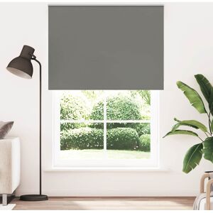 17 Stories Roller Blind Blackout Fabric Polyester Grey 160cmW x 230cmL 17 Stories Roller Blind Blackout Fabric Polyester Grey 160cmW x 230cmL