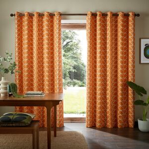 Orla Kiely Linear Stem Burnt Orange Eyelet Curtains Orla Kiely Linear Stem Burnt Orange Eyelet Curtains
