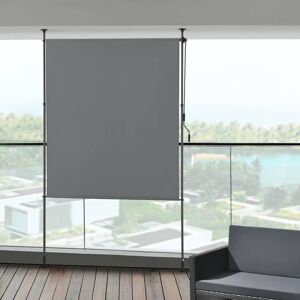 Symple Stuff Outdoor Blackout Roller Blind 270.0 H x 200.0 W cm