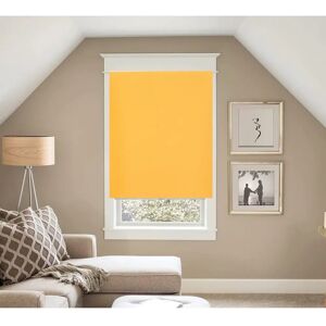 Symple Stuff Indoor blackout Trimmable roller blind 210.0 H x 240.0 W cm