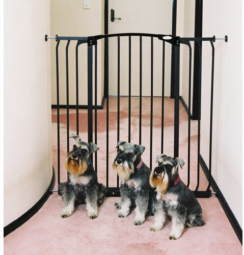 Symple Stuff Auto Close Hallway Gate Symple Stuff Colour: White  - Size: 91cm H X 45cm W X 57cm D Symple Stuff Auto Close Hallway Gate Symple Stuff Colour: White  - Size: 91cm H X 45cm W X 57cm D