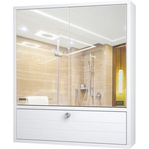 Latitude Run Angellique Wall Mounted Required Bathroom Cabinet Marble 620mm H X 540mm W X 140mm D Latitude Run Angellique Wall Mounted Required Bathroom Cabinet Marble 620mm H X 540mm W X 140mm D