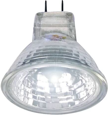 Symple Stuff 50W GU5.3 Dimmable Halogen Light Bulb (Set of 10) Symple Stuff Power Output: 50W  - Size: 38cm H x 19cm W x 14cm D; 0.2kg Symple Stuff 50W GU5.3 Dimmable Halogen Light Bulb (Set of 10) Symple Stuff Power Output: 50W  - Size: 38cm H x 19cm W x 14cm D; 0.2kg