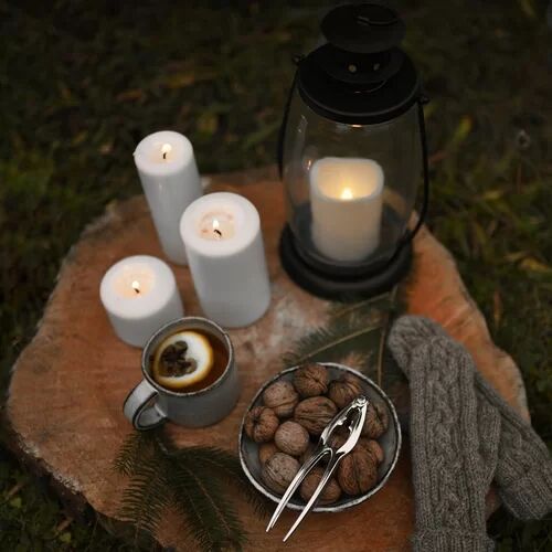 Dakota Fields Hadreas 30cm Battery Powered Integrated LED Outdoor Lantern Dakota Fields  - Size: W150 x L200cm Dakota Fields Hadreas 30cm Battery Powered Integrated LED Outdoor Lantern Dakota Fields  - Size: W150 x L200cm