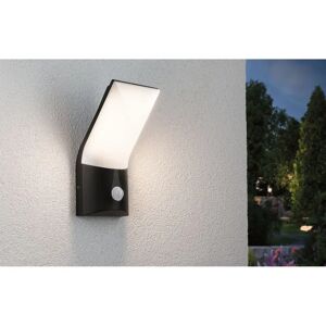 Paulmann Adya Anthracite Integrated LED Outdoor Sconce gray/white 25.0 H x 12.0 W x 12.8 D cm