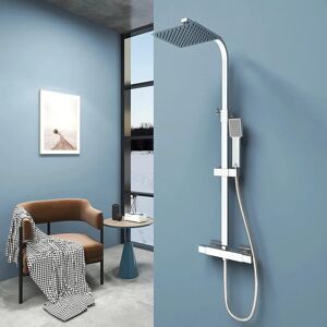 Belfry Bathroom Jahanzaib Thermostatic Shower with Adjustable Shower Head gray