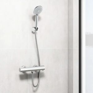 Belfry Bathroom Advait Thermostatic Shower with Adjustable Shower Head gray