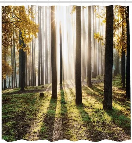 East Urban Home Forest and Sun Shower Curtain East Urban Home Size: 200cm H x 175cm W  - Size: 180cm H x 175cm W