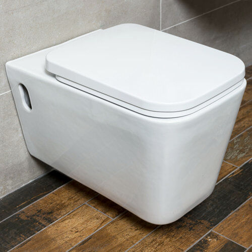 Belfry Bathroom Chao Wall Hung Toilet with Soft Close Seat Belfry Bathroom  - Size: 26cm H x 12cm W x 12cm D Belfry Bathroom Chao Wall Hung Toilet with Soft Close Seat Belfry Bathroom  - Size: 26cm H x 12cm W x 12cm D