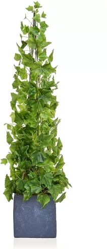 The Seasonal Aisle Artificial Ivy Plant in Pot The Seasonal Aisle  - Size: 30cm H X 18cm W X 18cm D The Seasonal Aisle Artificial Ivy Plant in Pot The Seasonal Aisle  - Size: 30cm H X 18cm W X 18cm D