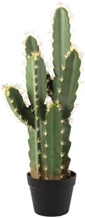 The Seasonal Aisle Artificial Cactaceae Plant in Pot The Seasonal Aisle Size: 70cm H x 18cm W x 18cm D  - Size: 101.6cm H x 66.04cm W x 1.91cm D The Seasonal Aisle Artificial Cactaceae Plant in Pot The Seasonal Aisle Size: 70cm H x 18cm W x 18cm D  - Size: 101.6cm H x 66.04cm W x 1.91cm D