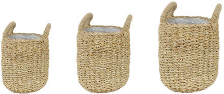 House of Hampton Leonel Natural Fibre Cachepot House of Hampton  - Size: House of Hampton Leonel Natural Fibre Cachepot House of Hampton  - Size: