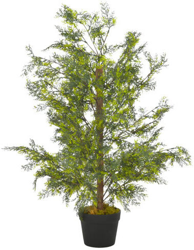 The Seasonal Aisle Cypress Tree in Pot The Seasonal Aisle  - Size: 50cm H x 100cm W x 1.4cm D The Seasonal Aisle Cypress Tree in Pot The Seasonal Aisle  - Size: 50cm H x 100cm W x 1.4cm D