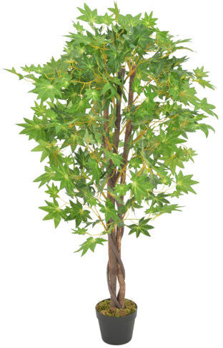 The Seasonal Aisle Maple Tree in Pot The Seasonal Aisle  - Size: Medium The Seasonal Aisle Maple Tree in Pot The Seasonal Aisle  - Size: Medium