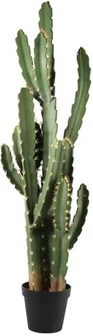 The Seasonal Aisle Artificial Cactaceae Plant in Pot The Seasonal Aisle Size: 144cm H x 22cm W x 22cm D  - Size: