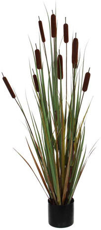 The Seasonal Aisle Cattail Plant in Pot The Seasonal Aisle  - Size: 25.5 cm H x 32 cm W x 32 cm D