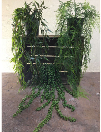 The Seasonal Aisle 3 Piece Mixed Plant in Pot Set The Seasonal Aisle  - Size: Rectangle 160 x 230cm The Seasonal Aisle 3 Piece Mixed Plant in Pot Set The Seasonal Aisle  - Size: Rectangle 160 x 230cm