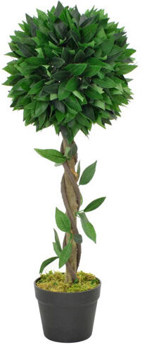 The Seasonal Aisle Bay Topiary in Pot The Seasonal Aisle  - Size: 45.72cm H x 45.72cm W x 3.81cm D The Seasonal Aisle Bay Topiary in Pot The Seasonal Aisle  - Size: 45.72cm H x 45.72cm W x 3.81cm D