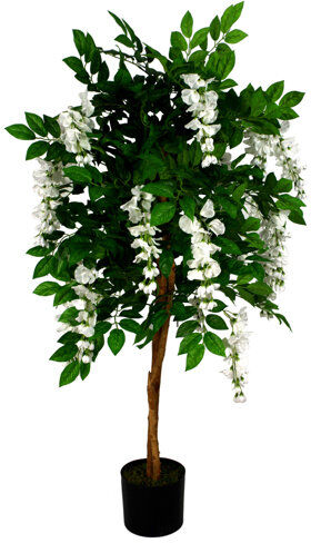 The Seasonal Aisle Wisteria Flowering Tree in Pot The Seasonal Aisle  - Size: 1cm H X 40cm W X 13cm D The Seasonal Aisle Wisteria Flowering Tree in Pot The Seasonal Aisle  - Size: 1cm H X 40cm W X 13cm D