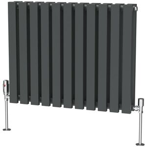 17 Stories Ipolitas Double Panel D Shape Horizontal Designer Radiator Anthracite 60cm H x 76cm W