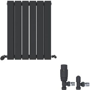 iBathUK Belgravia Horizontal Double Slim Flat Panel Radiator Angled Valve Grey 600cm H x 456cm W x 69cm D iBathUK Belgravia Horizontal Double Slim Flat Panel Radiator Angled Valve Grey 600cm H x 456cm W x 69cm D